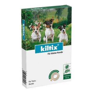 Kiltix für kleine Hunde