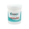 Painex Vaseline zum Einreiben