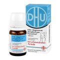 DHU Magnesium phosphoricum Pentarkan Tabletten
