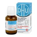 DHU Magnesium phosphoricum Pentarkan Tabletten