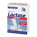 Avitale Lactase 28.000 FCC Tabletten im Spender