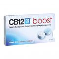 CB12 Boost Kaugummi Strong Mint