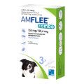 Amflee combo 134/120,6 mg Lsg.z.Auftr. für Hunde 10-20 kg
