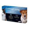 Capstar 11,4 mg Tabletten für Katzen/kleine Hunde