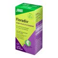 Floradix Eisen plus B-Vitamine Kapseln