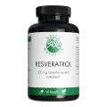 GREEN NATURALS Resveratrol 500 mg vegane Kapseln