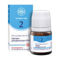 DHU Schüßler-Salz Nr. 2 Calcium phosphoricum D12 Globuli