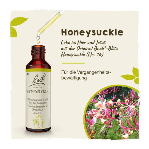 Bachblüte Honeysuckle